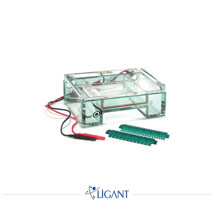 Serva Electrophoresis Elektroforez Sistemleri ve Reaktifleri